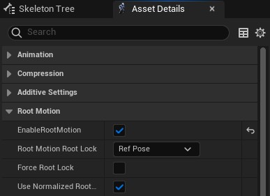 _images/ue_root_motion.jpg